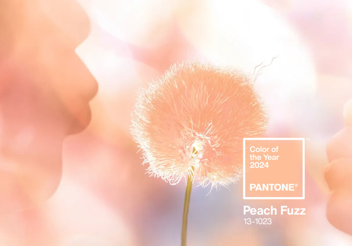 Farba roka 2024 podľa Pantone